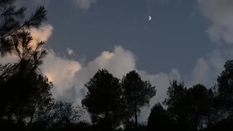 The clouds pass through forest Stock-Footage 139467572