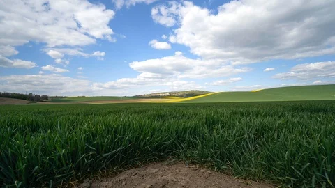 Clouds passing above rural fields in South Moravia, Czech Republic. Stock Footage 129488857