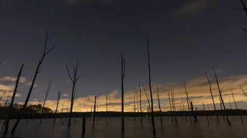 Clouds passing and star rotating above ominous trees in a lake Stock Footage 101312387