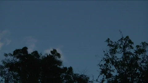 Clouds Passing Behind Silohuetted Trees near Haiti 库存影片 647169