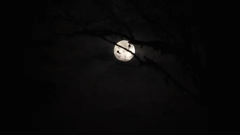 Clouds Passing Full Moon Rising Time Lapse Vídeo Stock 119842557