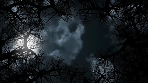 Clouds passing by moon at night. Full moon at night with cloud real time Video stock 111531224