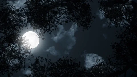Clouds passing by moon at night. Full moon at night with cloud real time Stock Footage 111655912
