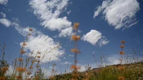 Clouds passing over an arid landscape. Segovia province. Spain. Stock Footage 115444492