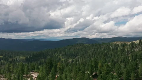 Clouds passing over green coniferous forest Stock Footage 300929497