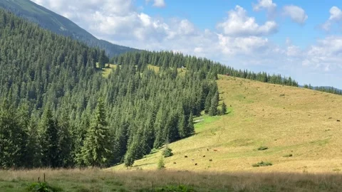 Clouds passing over lush green mountain landscape Stock Footage 282129569