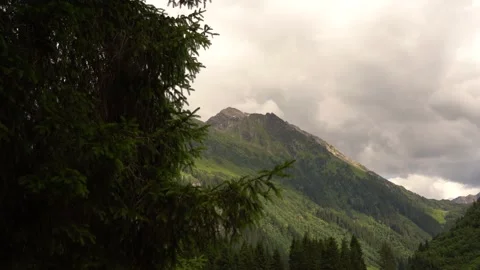 Clouds passing over mountain peak, coniferous tree in foreground Vidéo 312912032