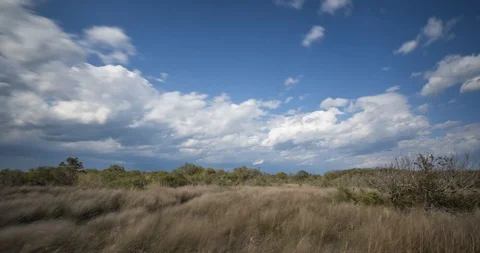 Clouds passing over reed and marsh on a windy day Stockbeeldmateriaal 129606721