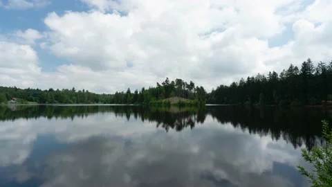 Clouds passing over still pond in middle of woods. Stock Footage 169230708