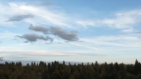 Clouds Passing Over Treeline Timelapse Stock Footage 115984934