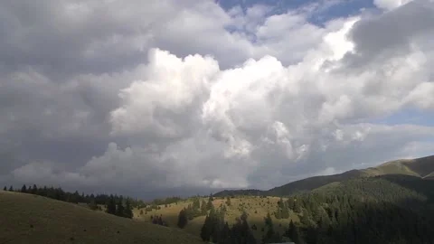 Clouds passing swiftly over the pine forest at the edge of the grassy meadow Stock Footage 145663747