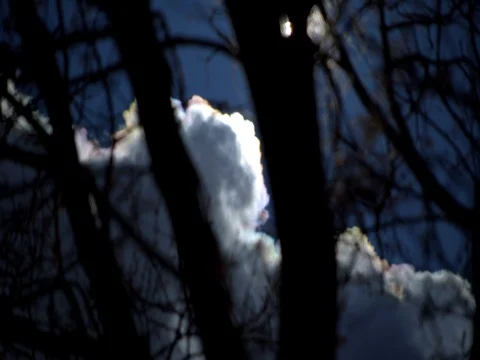 Clouds Passing By Trees in Virginia Stock Footage 74006373