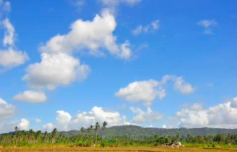 Clouds Foto stock