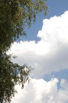 Clouds 스톡 사진