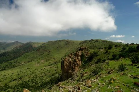 In The Clouds 스톡 사진