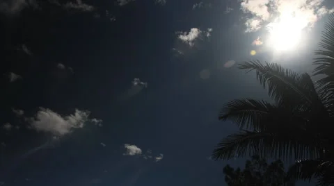 Clouds with Plam Tree Time Lapse 2 Stock Footage 44019865