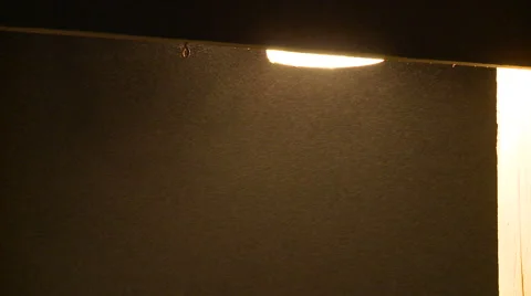 Clouds of Pollen Drifting in Air Illuminated by Street Light Stock Footage 54714102