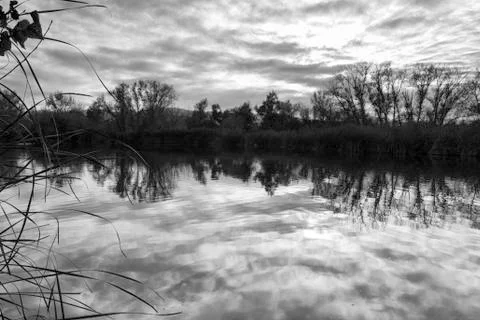 Clouds on pond 写真素材