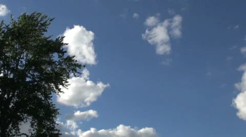 Clouds quickly float above the green tree Stock Footage 38405041