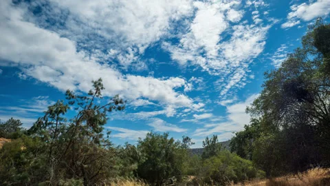 Clouds Race across Sky above California Oak Woodland Time Lapse Stock Footage 281746285