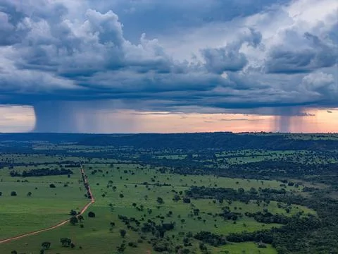 Clouds with rain on the horizon Stock Photos