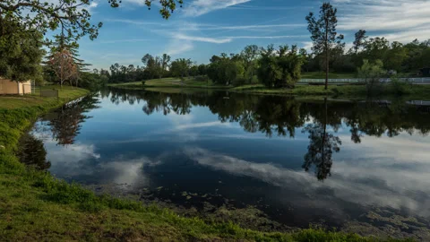 Clouds Reflect in Small Lake with Occasional Waterfowl Time Lapse Stock Footage 283363557