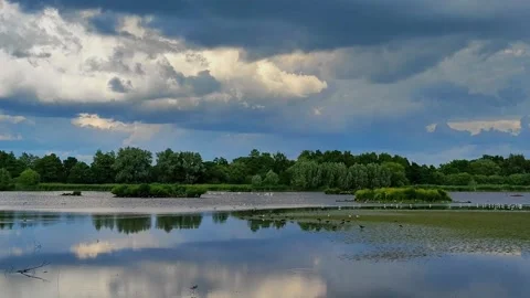 Clouds reflect on the water surface in a river landscape with trees and pla.. 動画素材 347460239