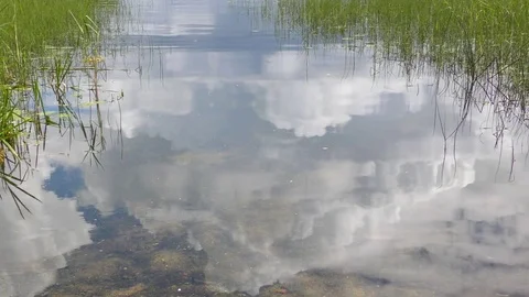 Clouds reflected in calm water of a forest lake Video stock 83170288