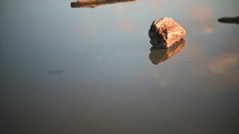 Clouds reflected in puddle at the beach, with driftwood. Partially blurred focus Stock Footage 144565709