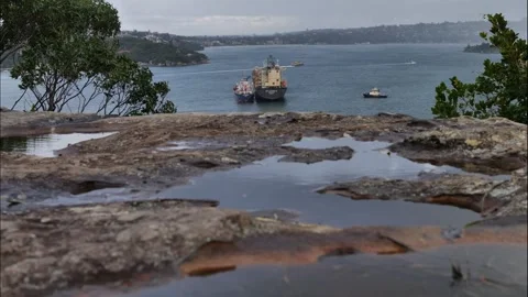 Clouds reflected in puddles and shipping containers on Sydney boat time la Video stock 279895322
