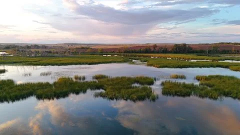 Clouds reflected in a reed-covered lake at a bright orange sunset Stock Photos