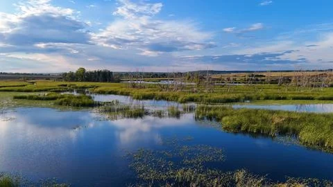 Clouds reflected in a reed-covered lake at a bright orange sunset Stock Photos