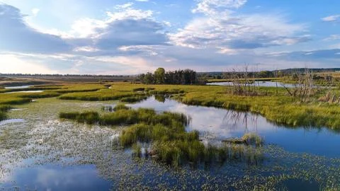 Clouds reflected in a reed-covered lake at a bright orange sunset Stock Photos