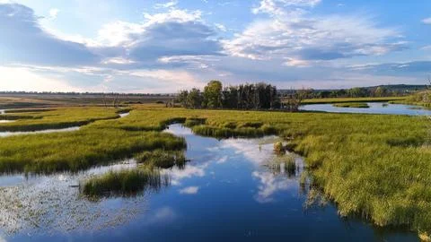Clouds reflected in a reed-covered lake at a bright orange sunset Stock Photos