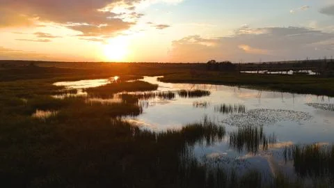 Clouds reflected in a reed-covered lake at a bright orange sunset Stock Photos