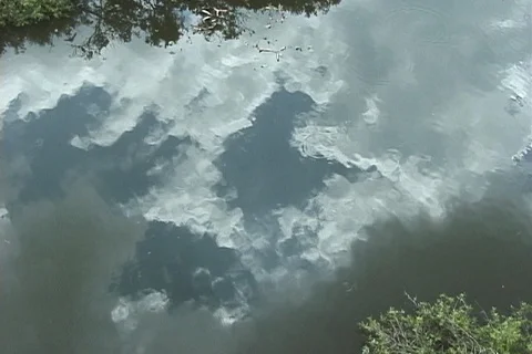 Clouds Reflected in Rippling Water in Florida Everglades Stock Footage 121357313