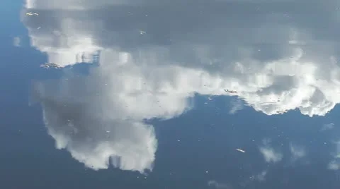 Clouds reflected in water Stock Footage 11017462