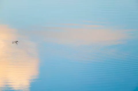 Clouds reflecting in a rippling pond Stock Photos