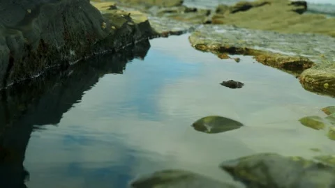 Clouds reflecting off rock pool Stock Footage 274345243