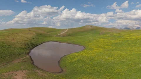 Clouds reflecting on small pond in green meadow Stock Footage 312160043