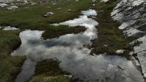 Clouds Reflecting in a Small Pond Surrounded by Greenery Stock Footage 292941255