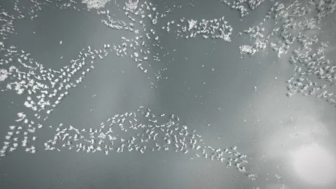 Clouds reflections on lake Stock Footage 87006042