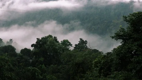 Clouds revealing mountains Kerala Timelapse Stock Footage