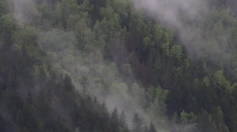 Clouds Rising Up Over Swiss Forest Stock Footage 68215266