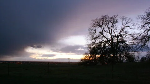 Clouds Rolling behind Winter Trees Video stock 337364