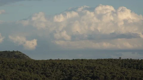 Clouds rolling over a forest Stock Footage 104876824