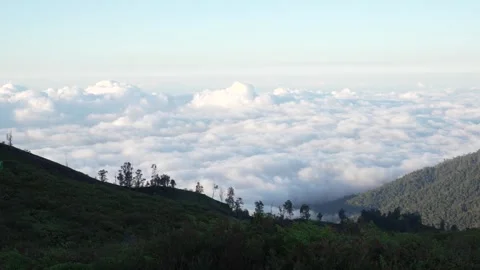 Clouds Rolling Over Mount Ijen Forest Slopes at Sunrise, East Java, Indonesia Stock Footage 334035015
