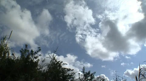 Clouds rolling over trees 스톡 동영상 12761471