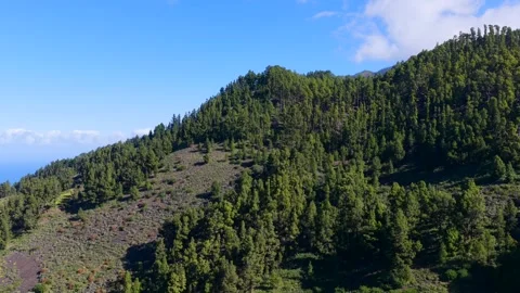 Clouds rolling in over Volcanic Craters in the Canary Islands Stock Footage 335804770