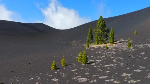 Clouds rolling in over Volcanic Craters in the Canary Islands Stock-Footage 335804796